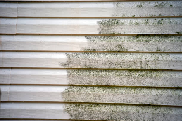 Best Custom Siding Design  in Madera Ranchos, CA