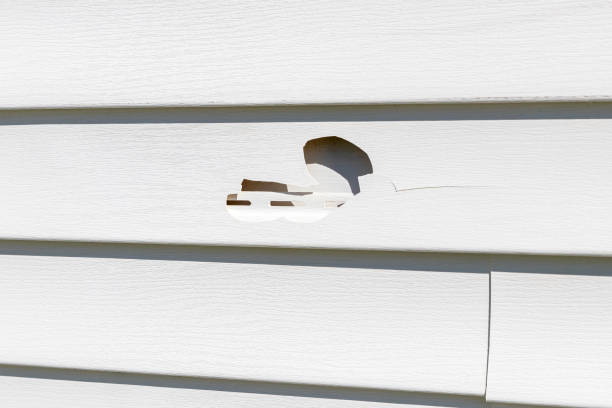Siding for Multi-Family Homes in Madera Ranchos, CA