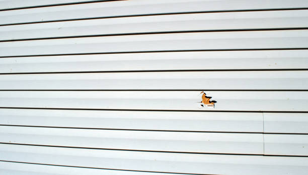 Best Historical Building Siding Restoration  in Madera Ranchos, CA