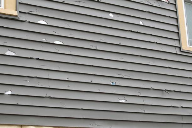 Best Siding for Multi-Family Homes  in Madera Ranchos, CA