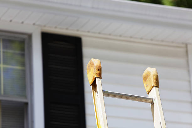 Best Steel Siding Installation  in Madera Ranchos, CA